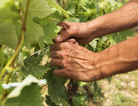 5acad05967b2e0b11644f83f34c4d8b579f1a58b