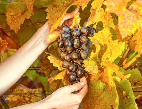 8e9fa397243f98aaed8568291a907494263addd0