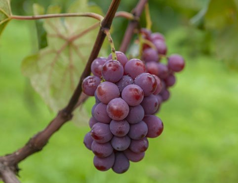 aa7c009573a0ef2f9535f01cbe5b1d4972a88e4f