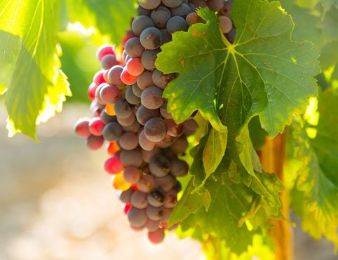 aee48d0b7147928923326d834df7d0688328db6d