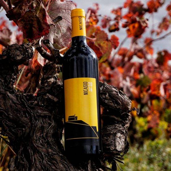 catalogo image 1 1 37a437