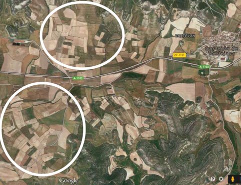 d8d312762115495738d2f836fd75a61e8b8c17aa