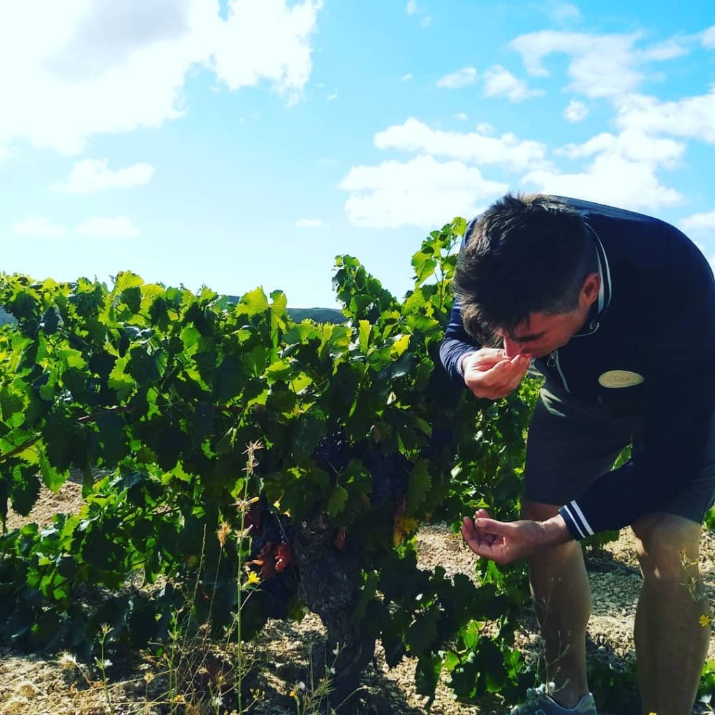 d8eda8ebc426b5fd71947bfdac5913503dd0a843